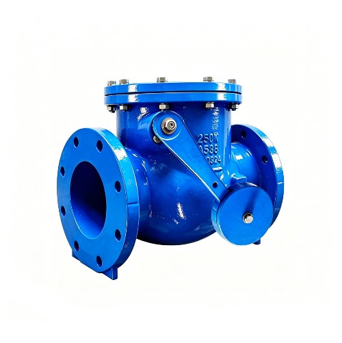 AWWA C508 Flanged Metal Seal Swing Check Valve with Weight & Lever (JHH44XW)