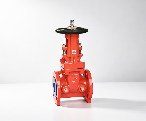 AWWA C515 OS&Y FLG x FLG Gate Valve (JKDZ41-300FLG/JKDZ41-300A)